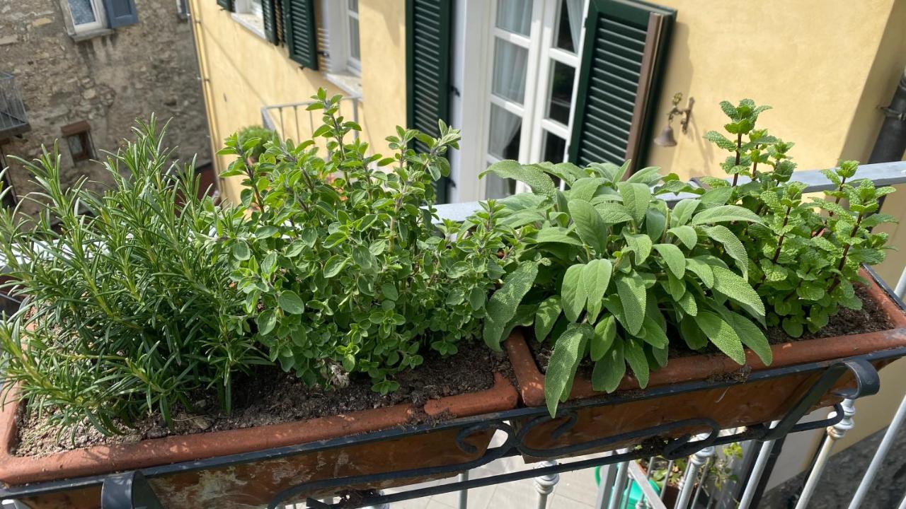 Il Mulino Di Hotel Villa Aurora Nesso Zewnętrze zdjęcie