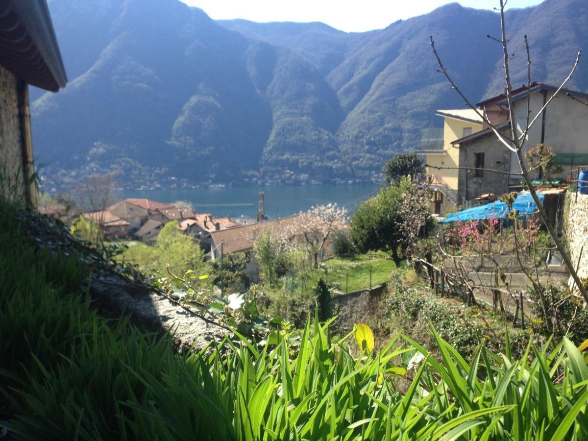 Il Mulino Di Hotel Villa Aurora Nesso Zewnętrze zdjęcie
